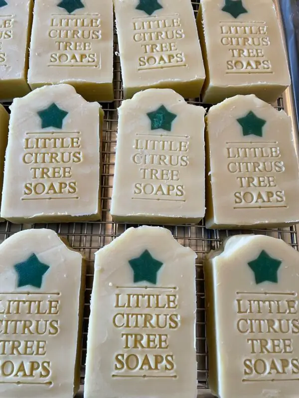 Forest Pine Bar Soap