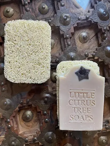 Soap Saver