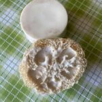 Coconut loofah bar soap