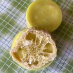 Lemon loofah bar soap