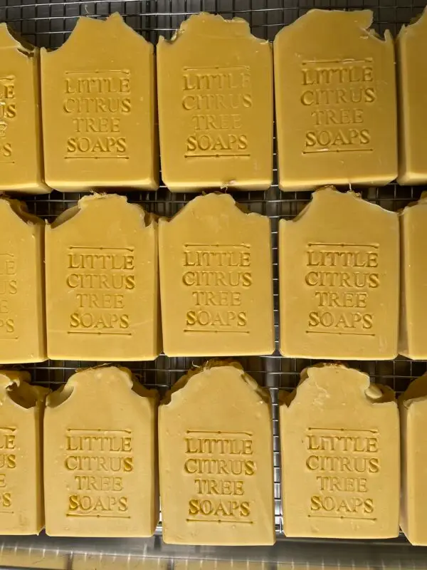 Pineapple & Passionfruit