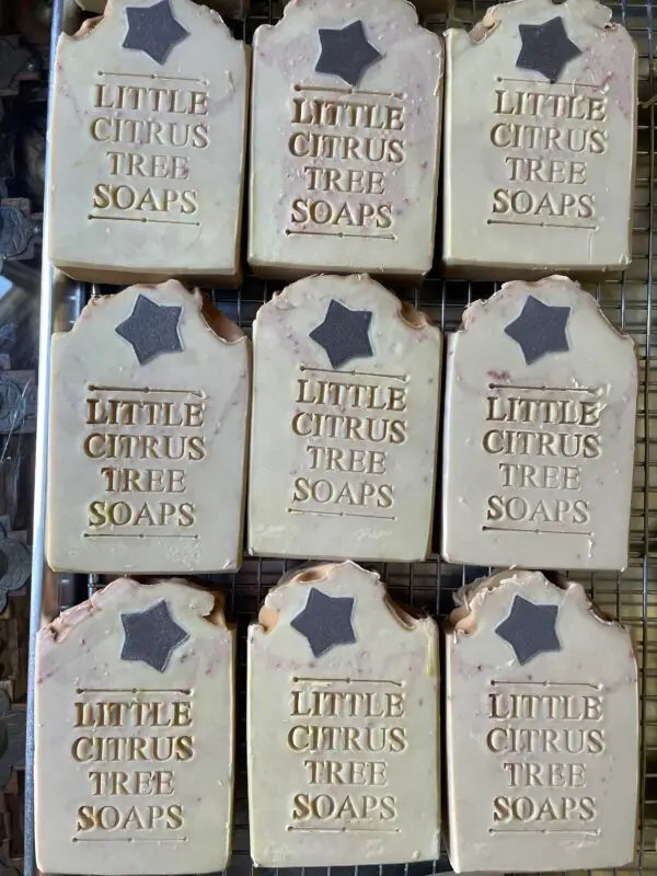 Coconut & Santal Bar Soap