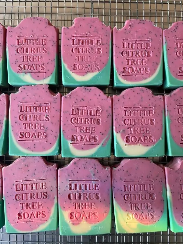 Watermelon with Poppy Seeds Bar Soap